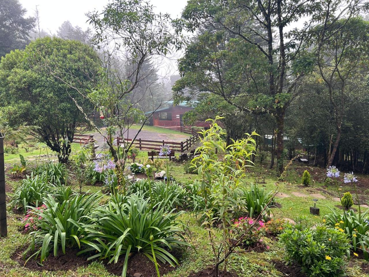 Curuba Lodge Copey Extérieur photo