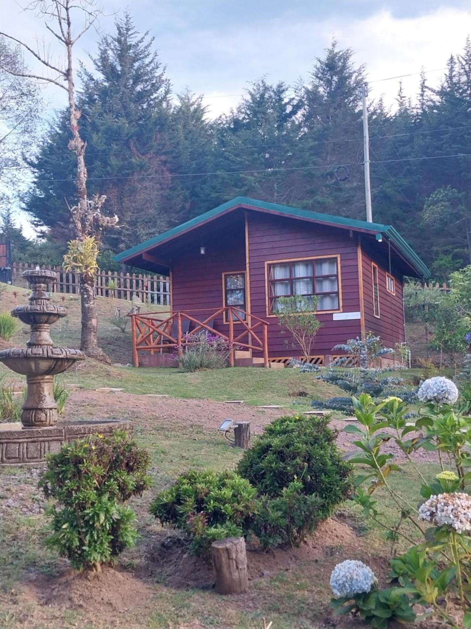 Curuba Lodge Copey Extérieur photo